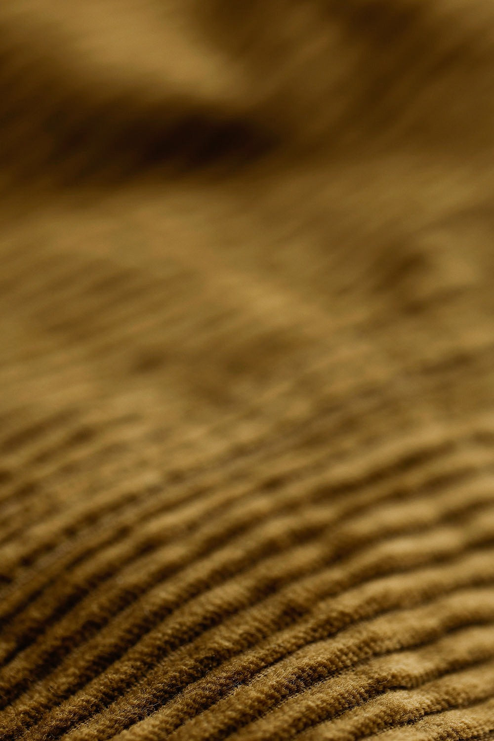 Mc987-golden-corduroy-mcverdi-materiale-19